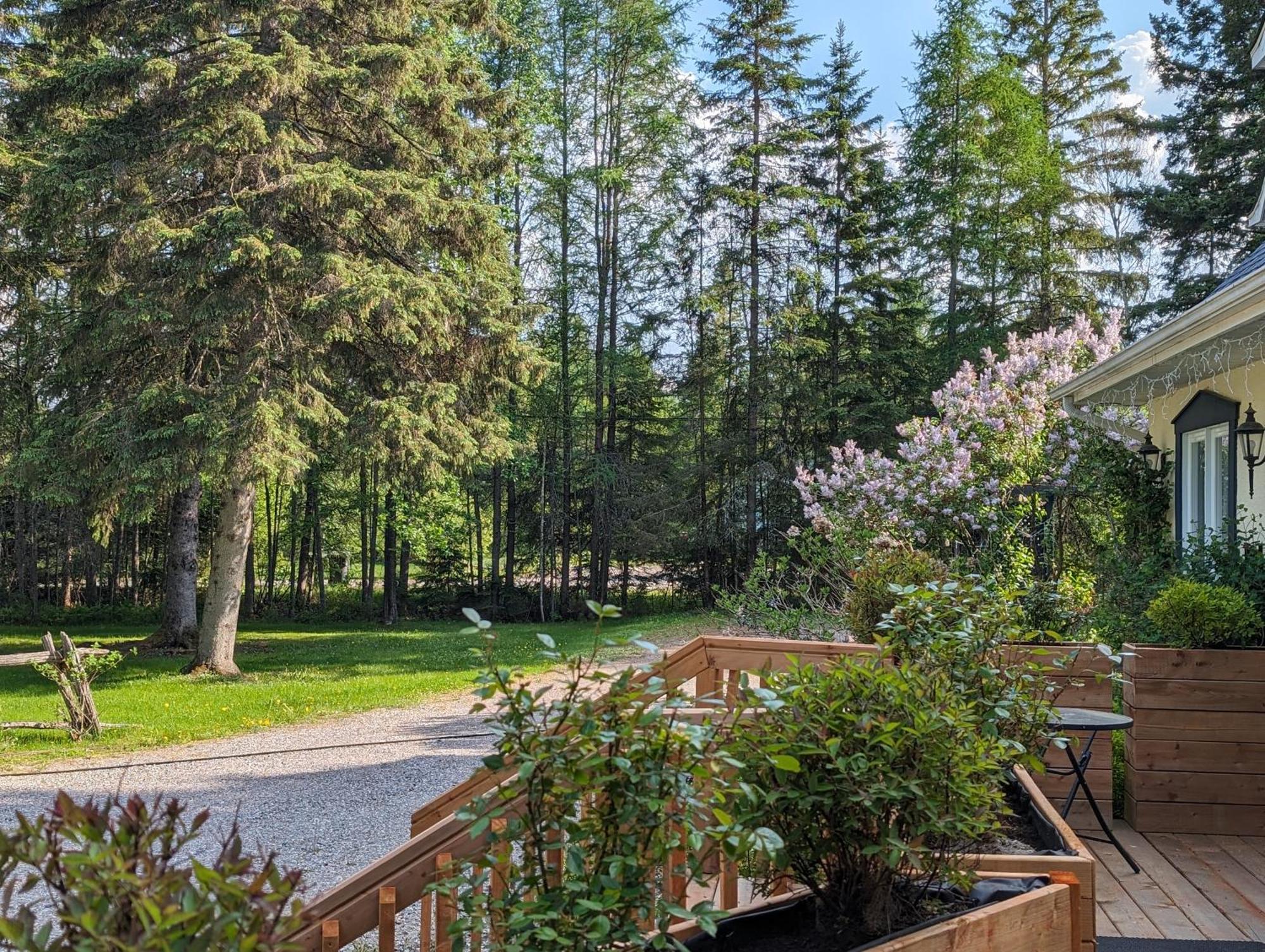 La Tremblante Bed and Breakfast Mont-Tremblant Buitenkant foto