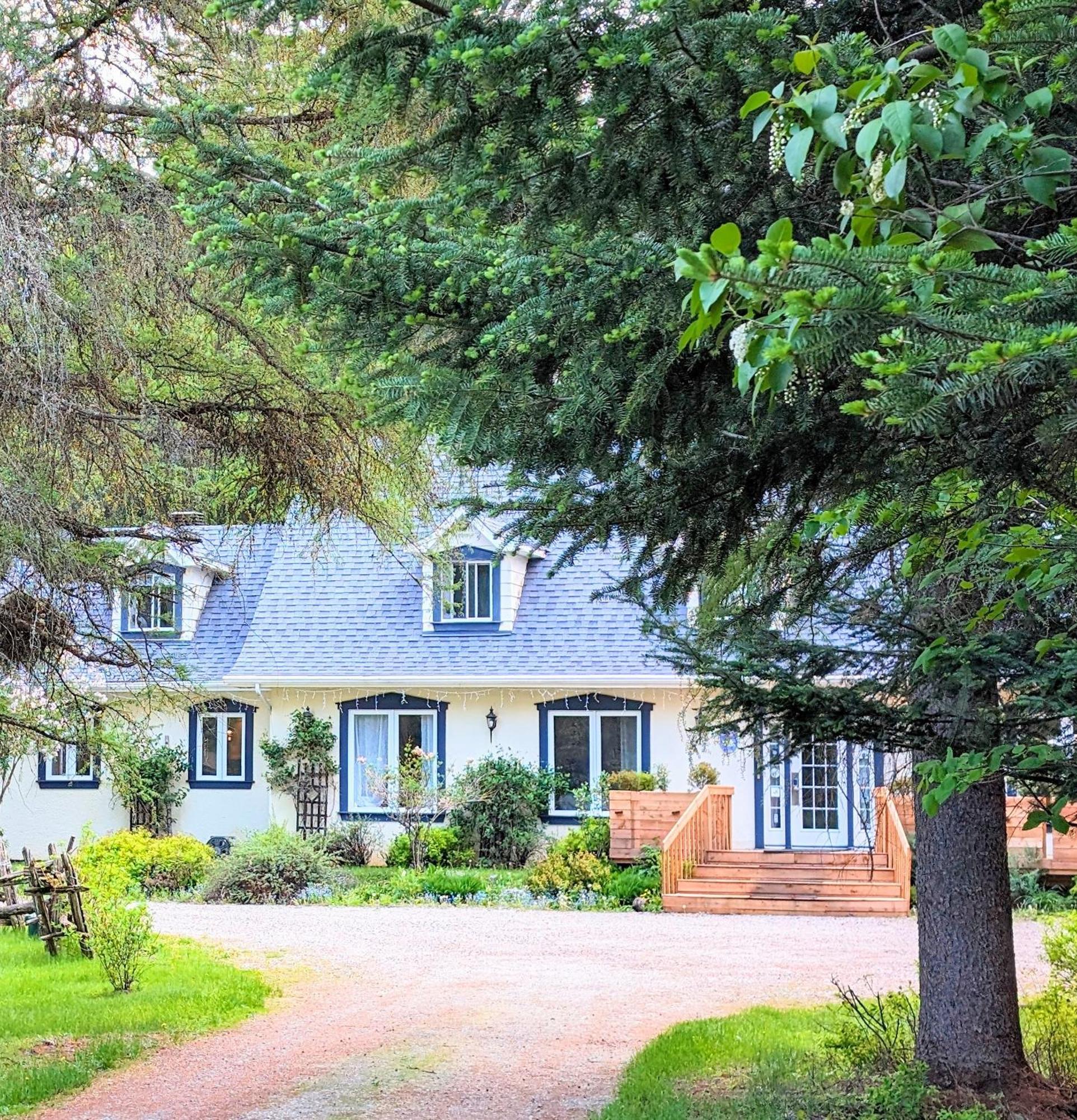 La Tremblante Bed and Breakfast Mont-Tremblant Buitenkant foto