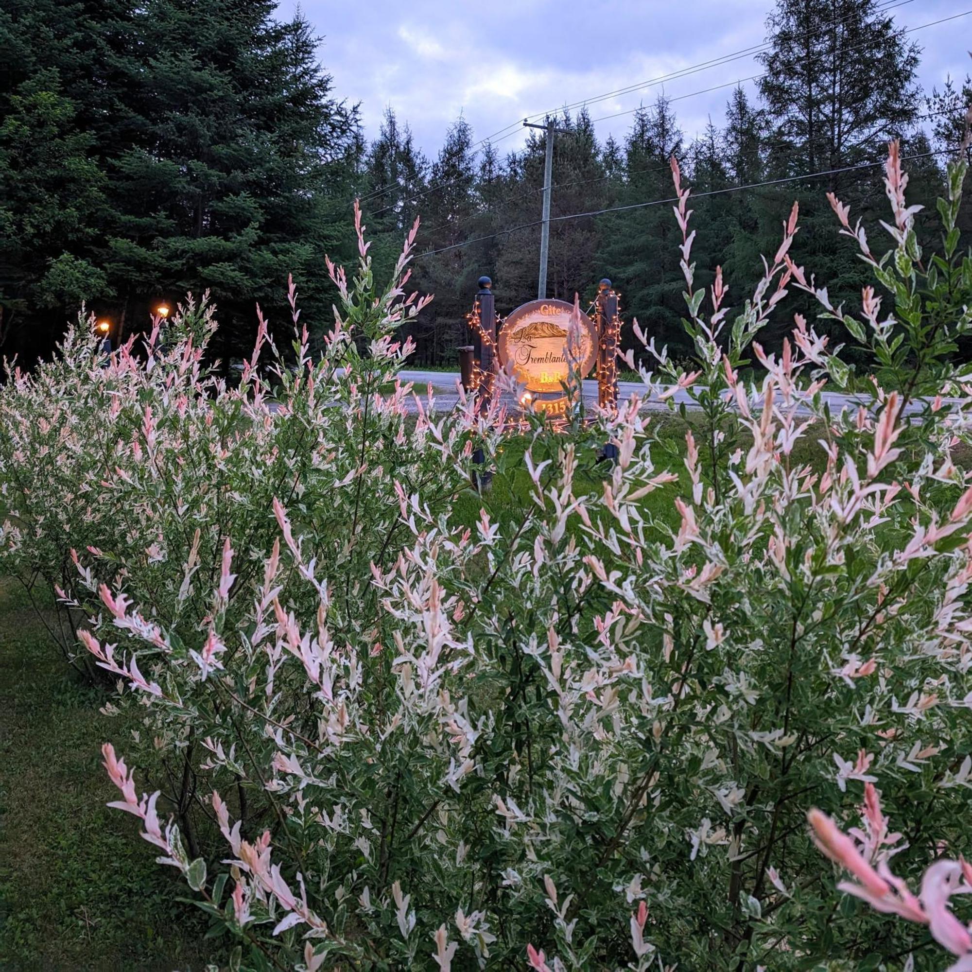 La Tremblante Bed and Breakfast Mont-Tremblant Buitenkant foto