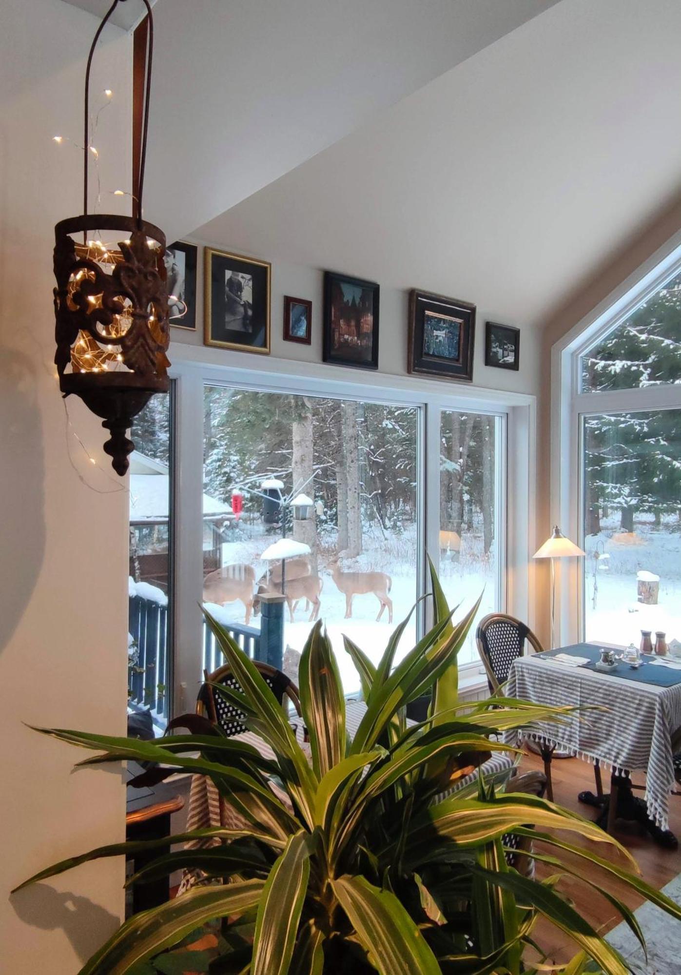 La Tremblante Bed and Breakfast Mont-Tremblant Buitenkant foto