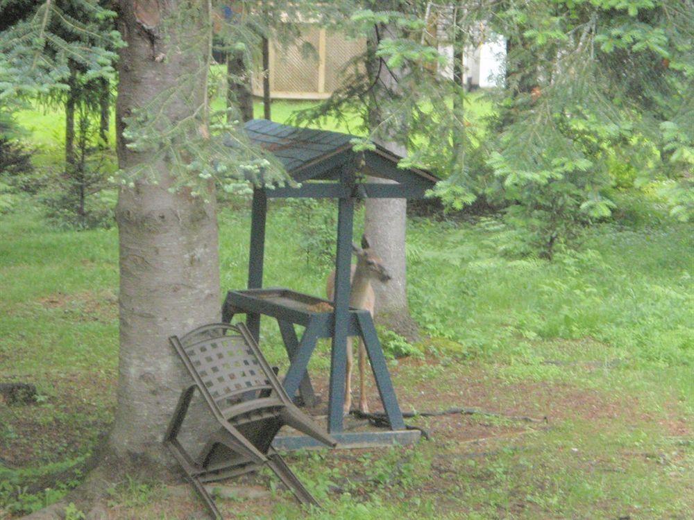 La Tremblante Bed and Breakfast Mont-Tremblant Buitenkant foto